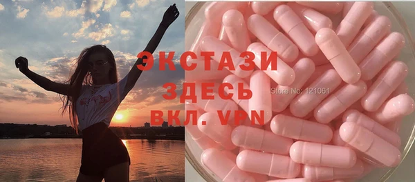 ECSTASY Бородино